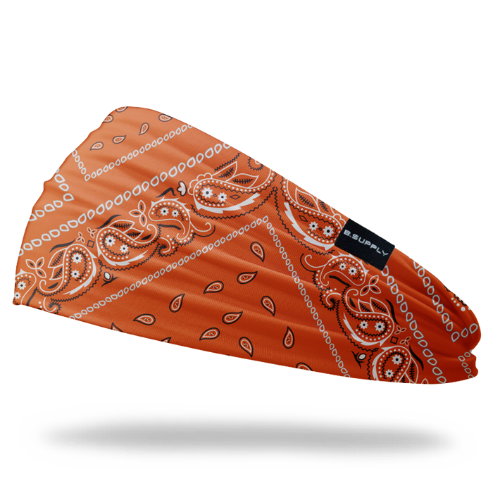 Paisley Headbands