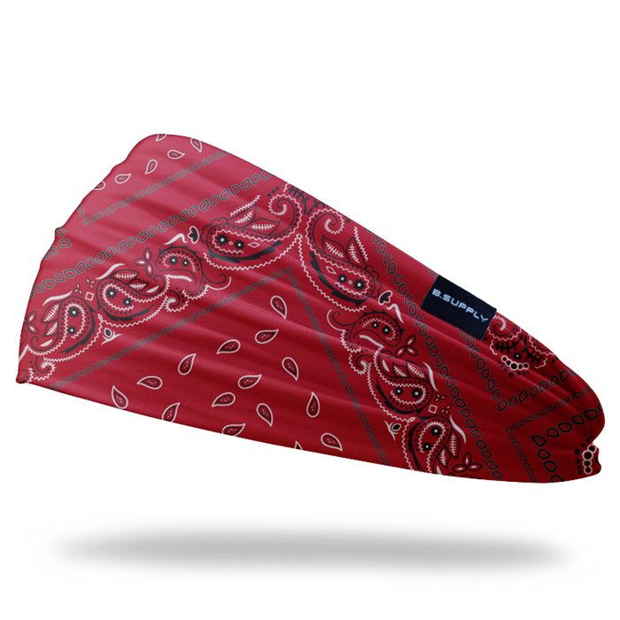 Paisley Headbands