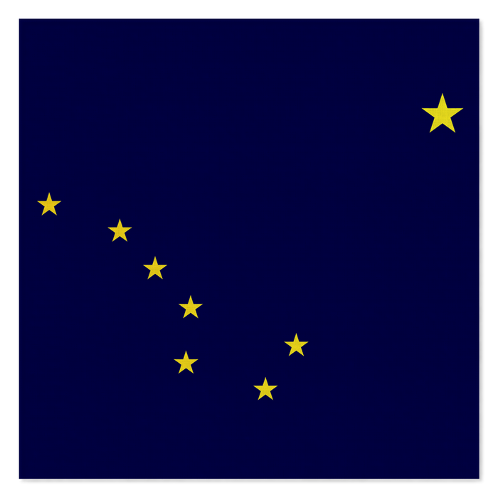 Flag Bandana 12 Pieces