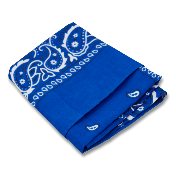 Wholesale Paisley Bandana - 12 Piece