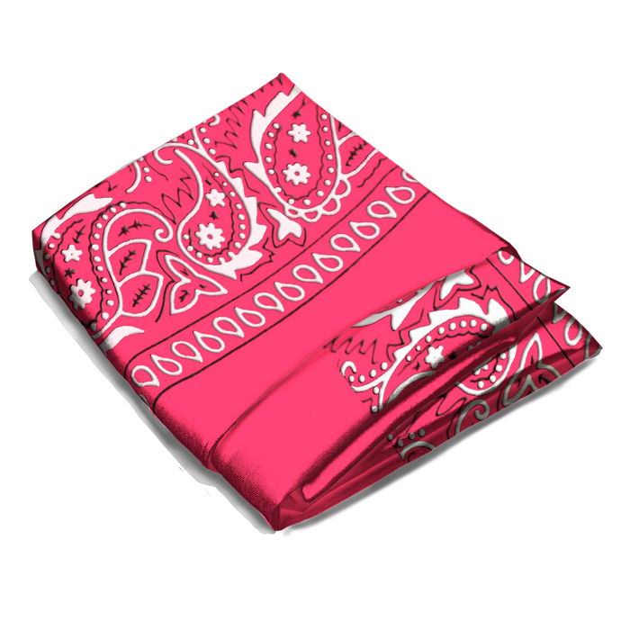 Wholesale Paisley Bandana - 12 Piece
