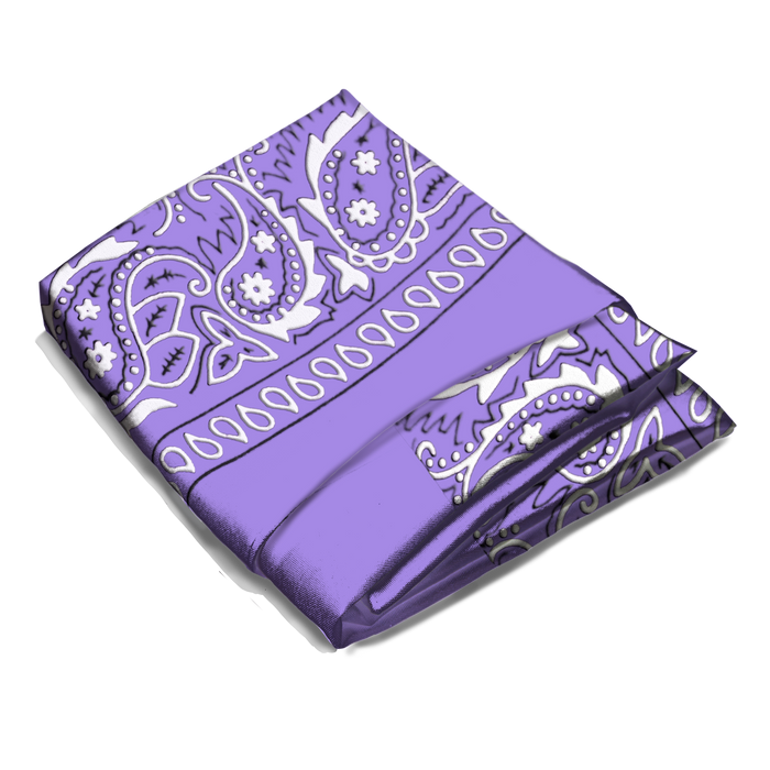 Wholesale Paisley Bandana - 12 Piece