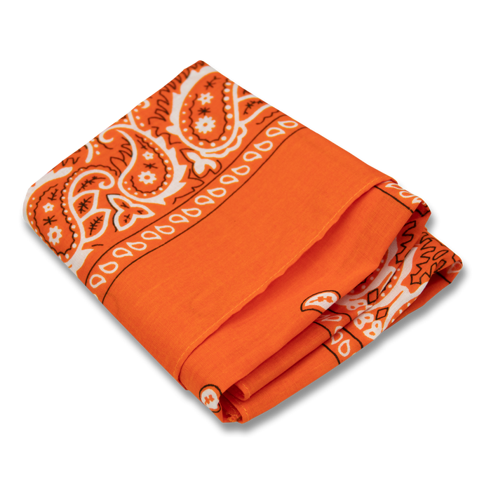 Paisley Bandana