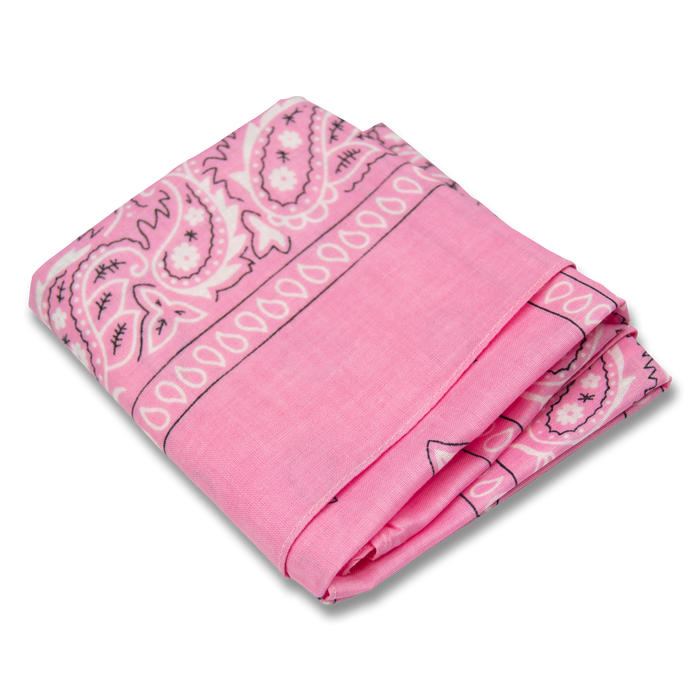 Wholesale Paisley Bandana - 12 Piece