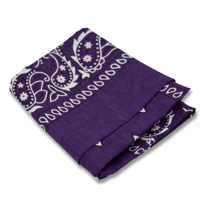 Wholesale Paisley Bandana - 12 Piece