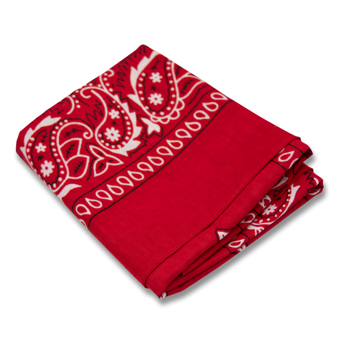 Wholesale Paisley Bandana - 12 Piece