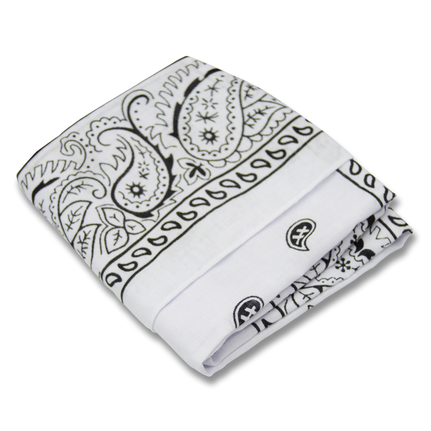 Paisley Bandana — Bandana Supply